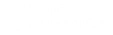 Homes International Real Estate logo - White