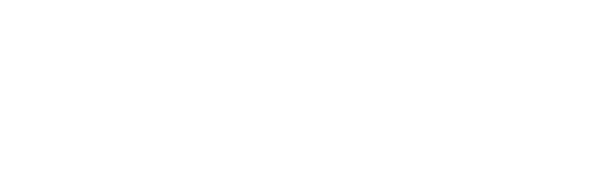 Homes International Real Estate logo - White
